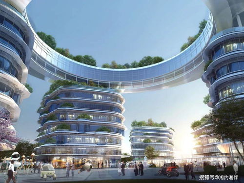 長(zhǎng)沙 天空之廳 大澤湖海歸小鎮(zhèn)研發(fā)中心項(xiàng)目效果圖出爐